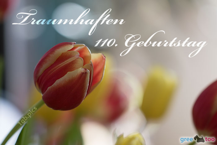 Traumhaften 110 Geburtstag Bild - 1gb.pics