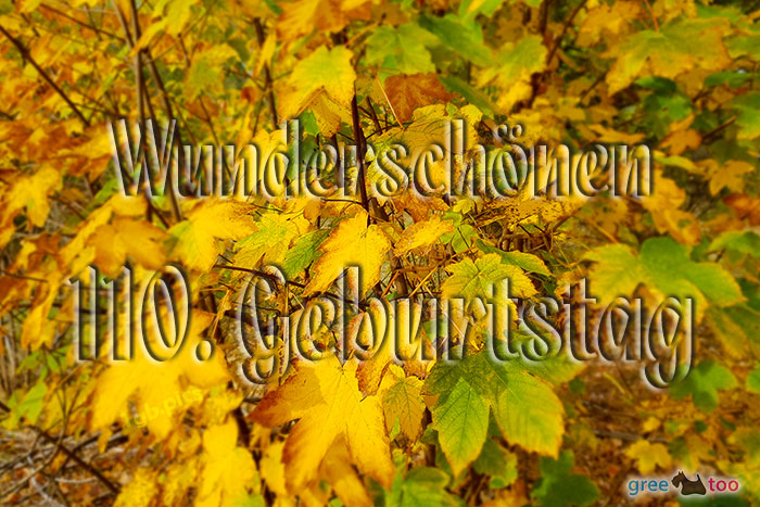 Wunderschoenen 110 Geburtstag