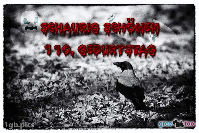Kraehe Schaurig Schoenen 110 Geburtstag Bild - 1gb.pics
