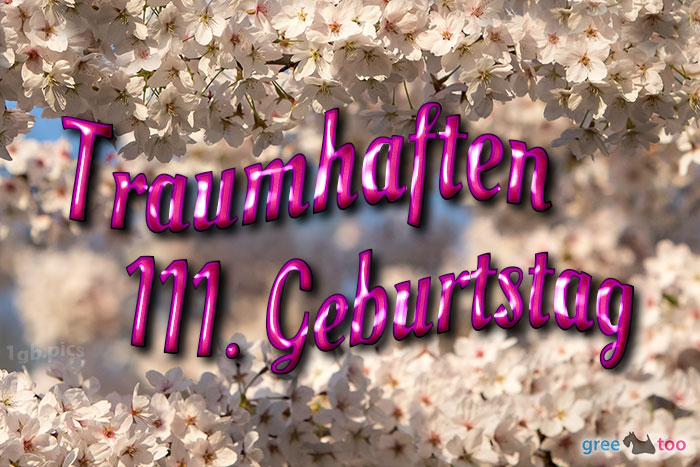 Traumhaften 111 Geburtstag