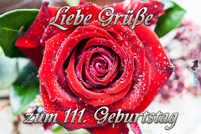 Zum 111 Geburtstag