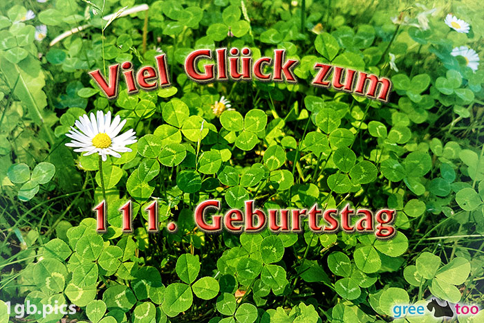 Klee Gaensebluemchen Viel Glueck Zum 111 Geburtstag Bild - 1gb.pics