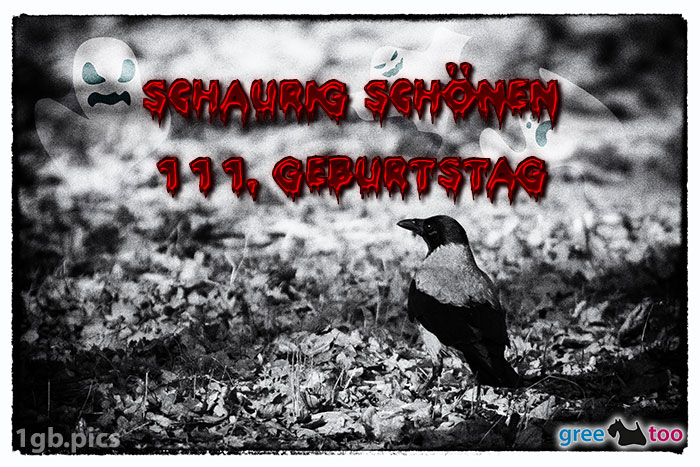 Kraehe Schaurig Schoenen 111 Geburtstag Bild - 1gb.pics