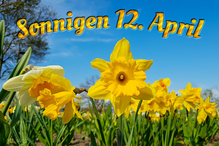 Sonnigen 12 April