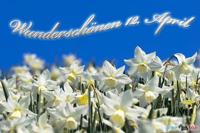 Wunderschoenen 12 April Bild - 1gb.pics