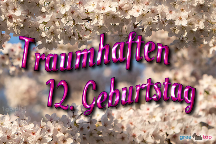 Traumhaften 12 Geburtstag