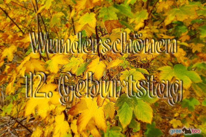 Wunderschoenen 12 Geburtstag