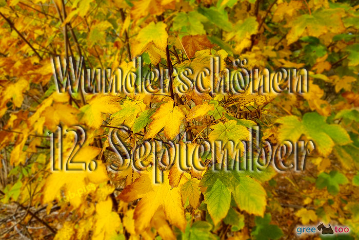 Wunderschoenen 12 September