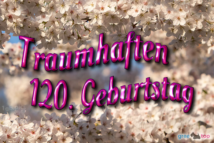 120. Geburtstag von 1gbpics.com