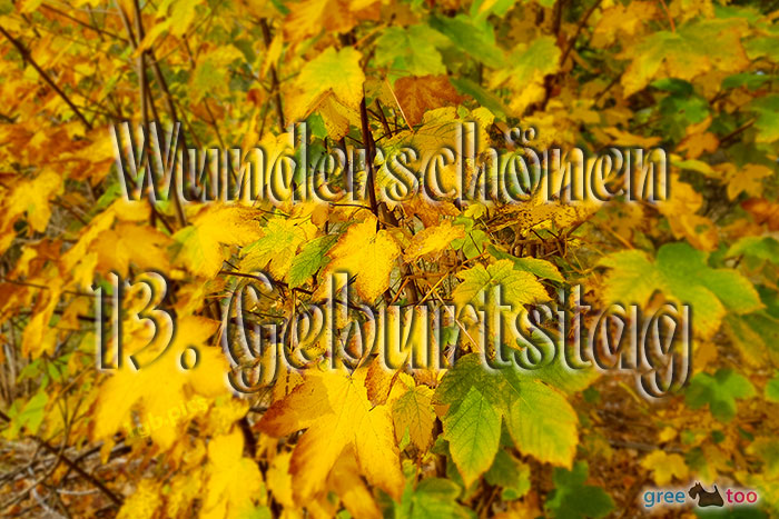 Wunderschoenen 13 Geburtstag