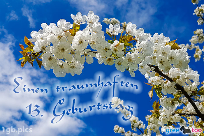 Kirschblueten Einen Traumhaften 13 Geburtstag Bild - 1gb.pics