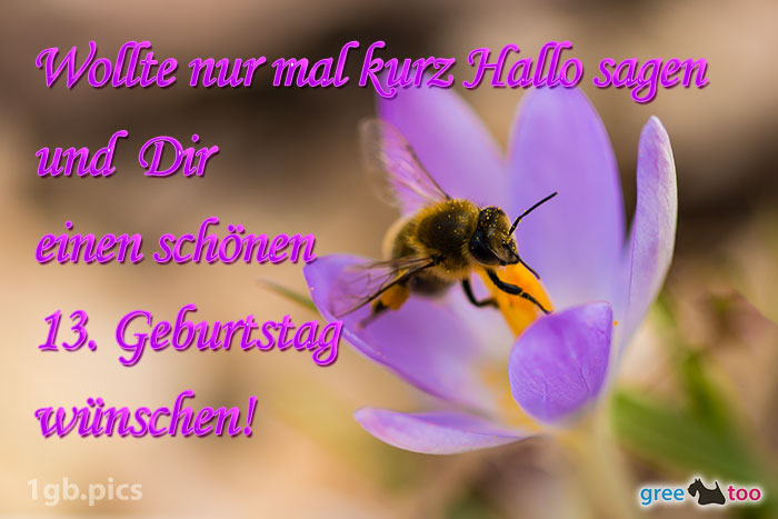 Krokus Biene Einen Schoenen 13 Geburtstag Bild - 1gb.pics