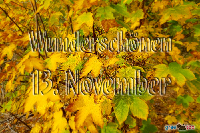 Wunderschoenen 13 November