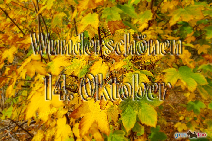 Wunderschoenen 14 Oktober