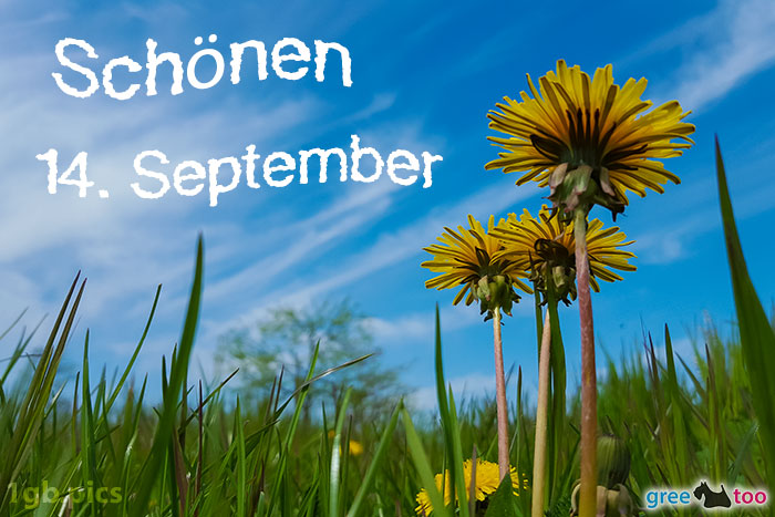 Loewenzahn Himmel Schoenen 14 September