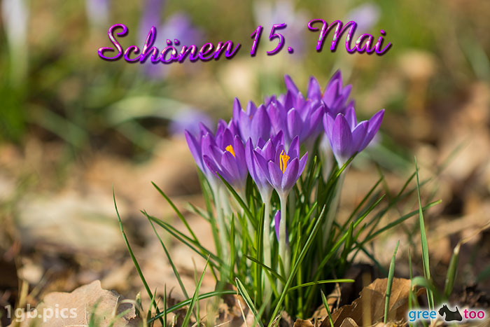 15. Mai von 1gbpics.com