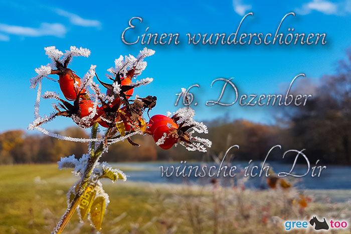 Einen Wunderschoenen 16 Dezember