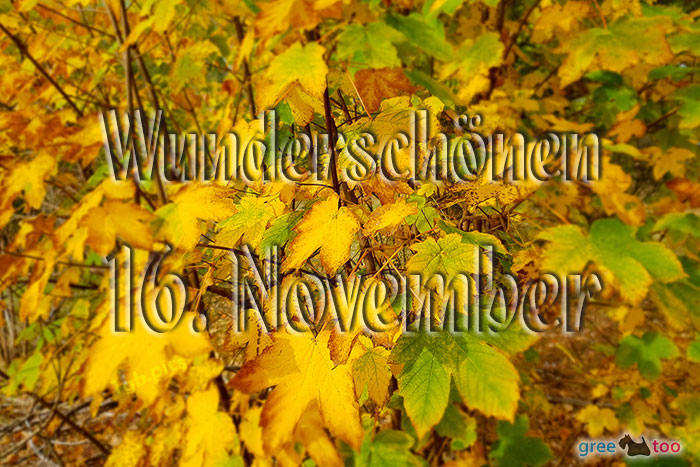 Wunderschoenen 16 November