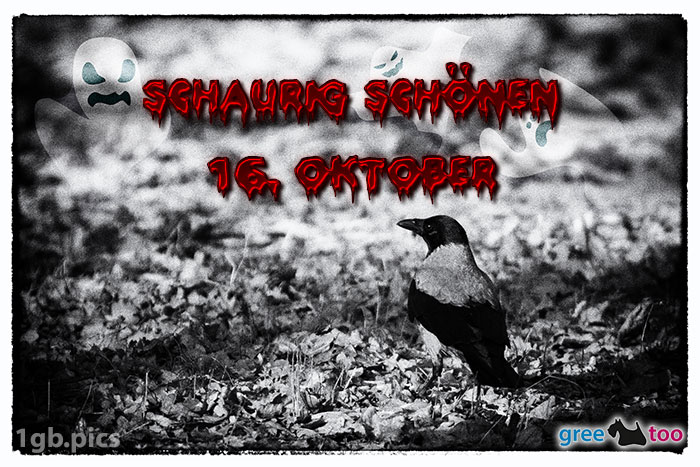 Kraehe Schaurig Schoenen 16 Oktober Bild - 1gb.pics