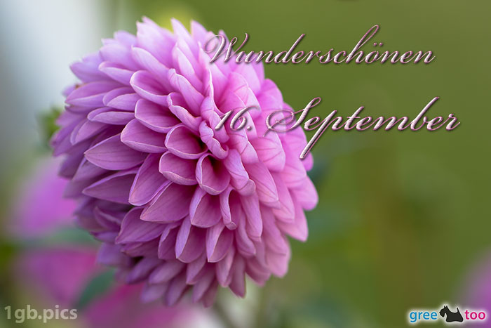 16. September von 1gbpics.com