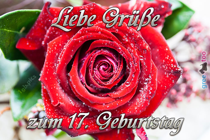 Zum 17 Geburtstag