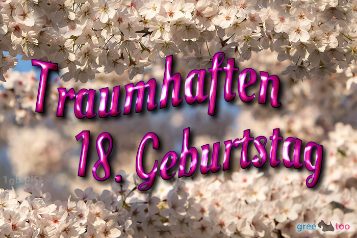 18. Geburtstag von 1gbpics.com