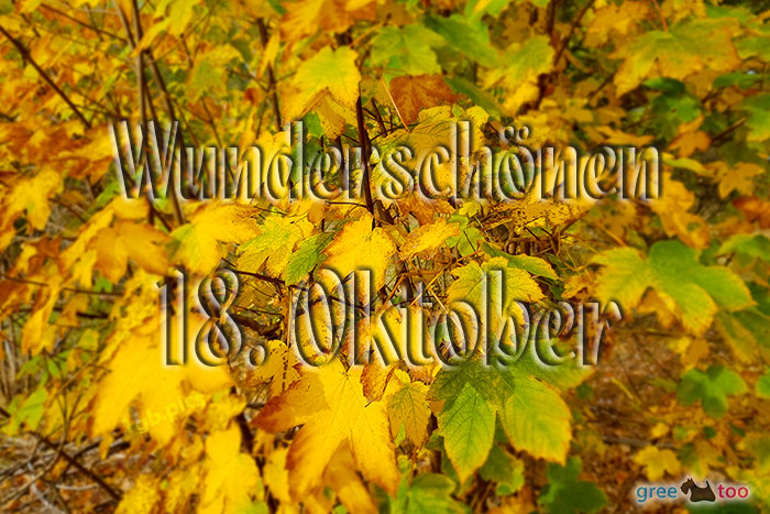 Wunderschoenen 18 Oktober Bild - 1gb.pics