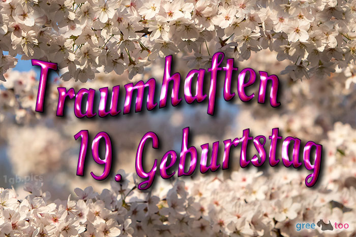 19. Geburtstag von 1gbpics.com