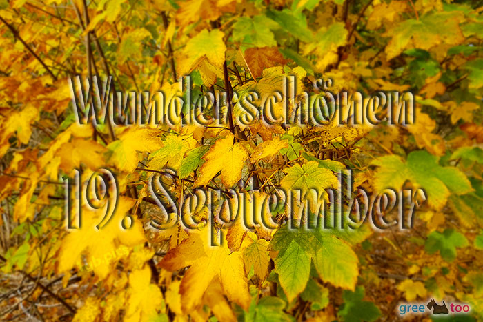 Wunderschoenen 19 September