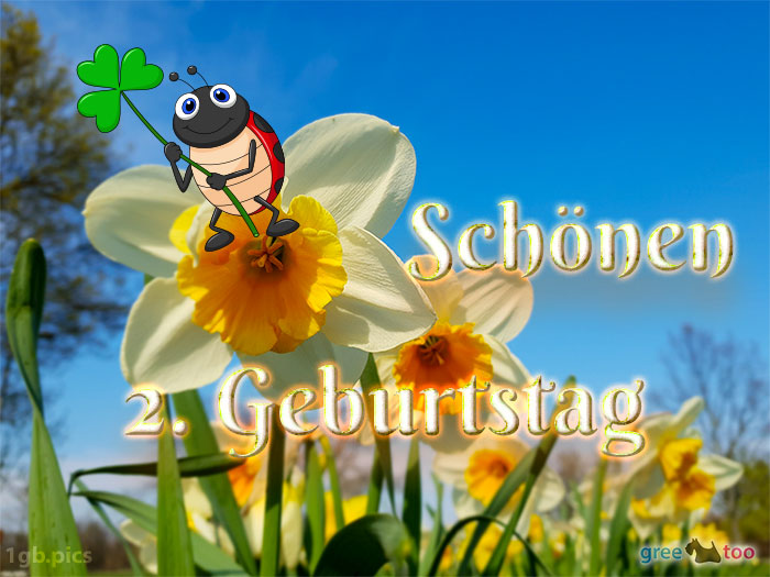 Schoenen 2 Geburtstag Bild - 1gb.pics