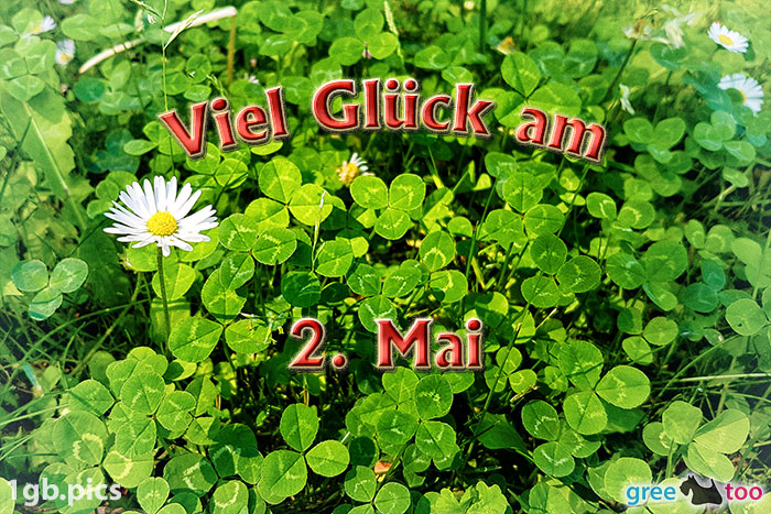 2. Mai von 1gbpics.com