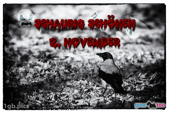 Kraehe Schaurig Schoenen 2 November Bild - 1gb.pics