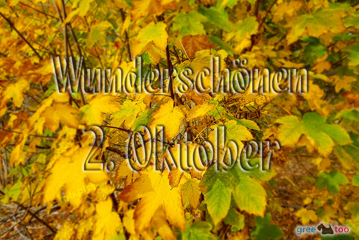 Wunderschoenen 2 Oktober