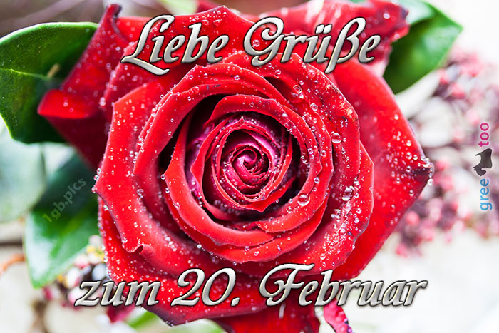 Zum 20 Februar