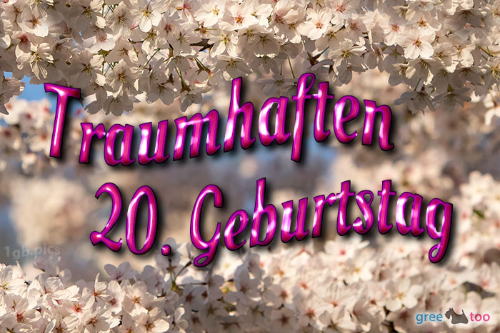 20. Geburtstag von 1gbpics.com