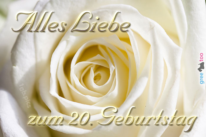 20. Geburtstag von 1gbpics.com