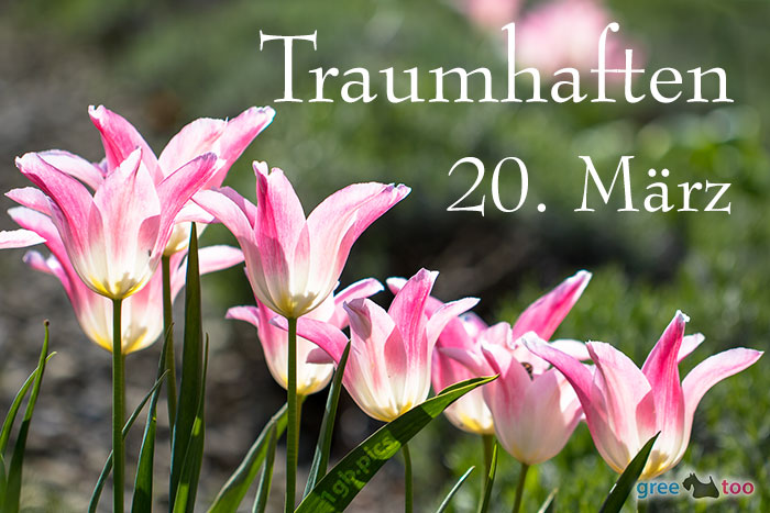 Traumhaften 20 Maerz