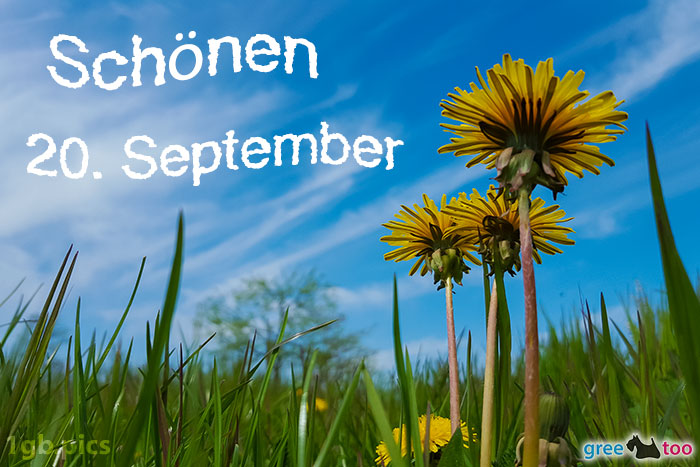 Loewenzahn Himmel Schoenen 20 September