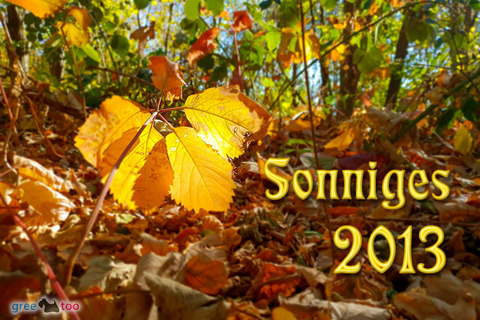 Sonniges 2013