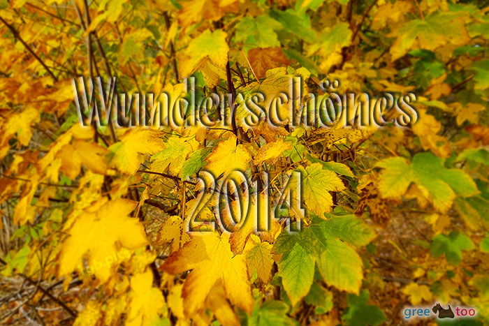 Wunderschoenes 2014