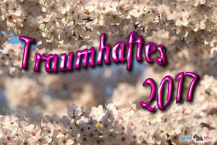 Traumhaftes 2017