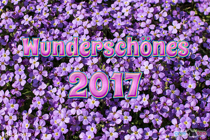 Wunderschoenes 2017