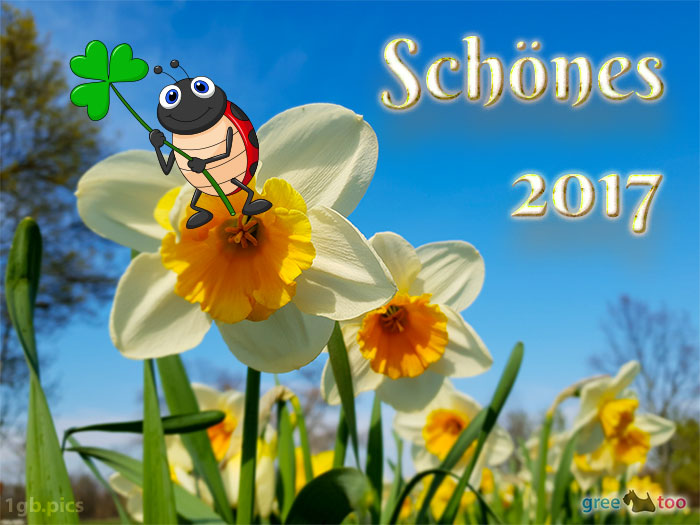 Schoenes 2017