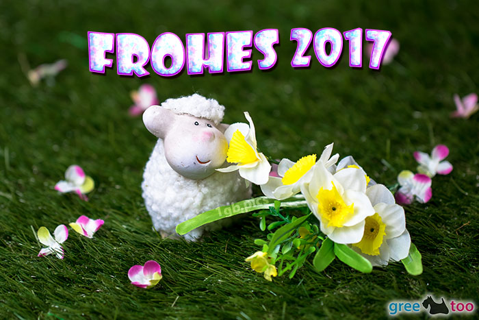 Frohes 2017