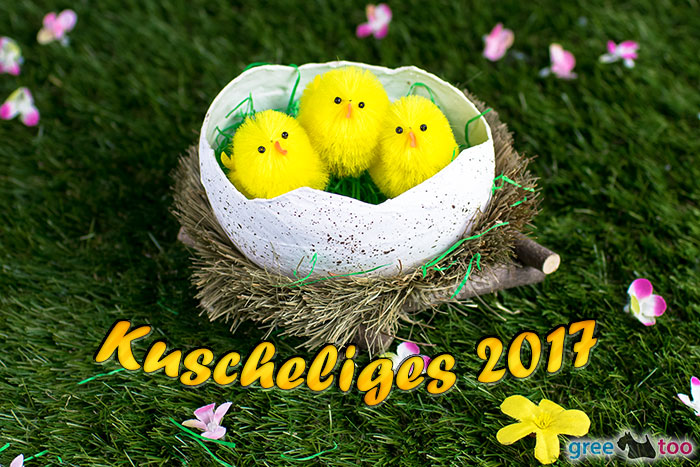 Kuscheliges 2017