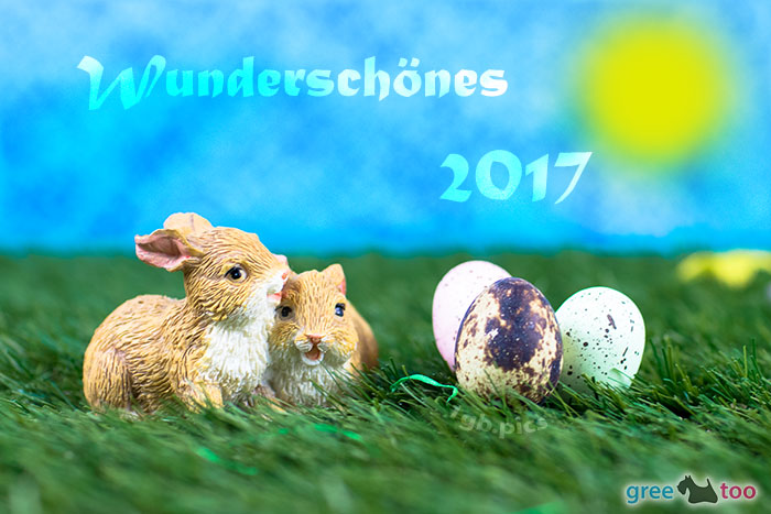 Wunderschoenes 2017