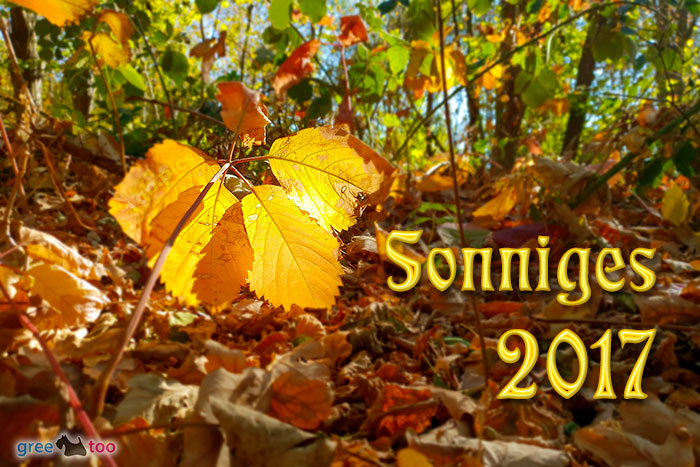 Sonniges 2017