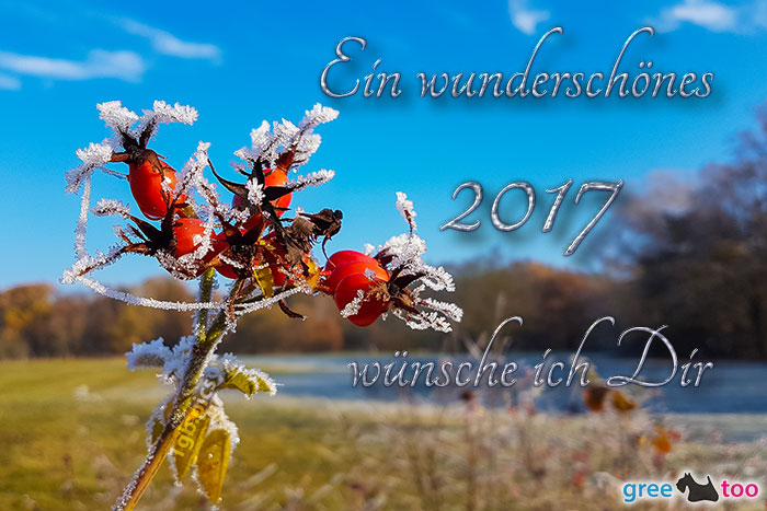 Ein Wunderschoenes 2017