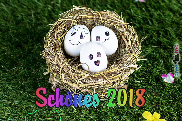 Schoenes 2018