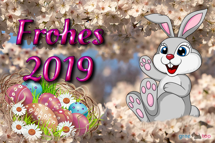 Frohes 2019